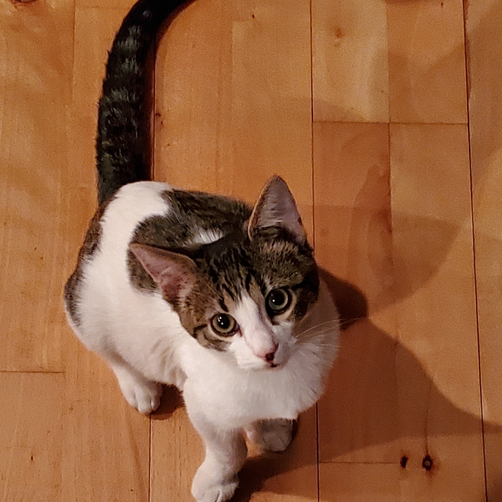 Meet your Posher, Brenna L@@K